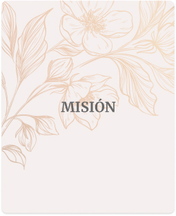 mision