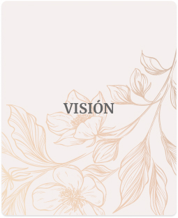 vision